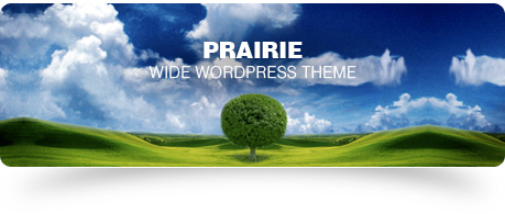 wordpress-theme-prairie.jpg